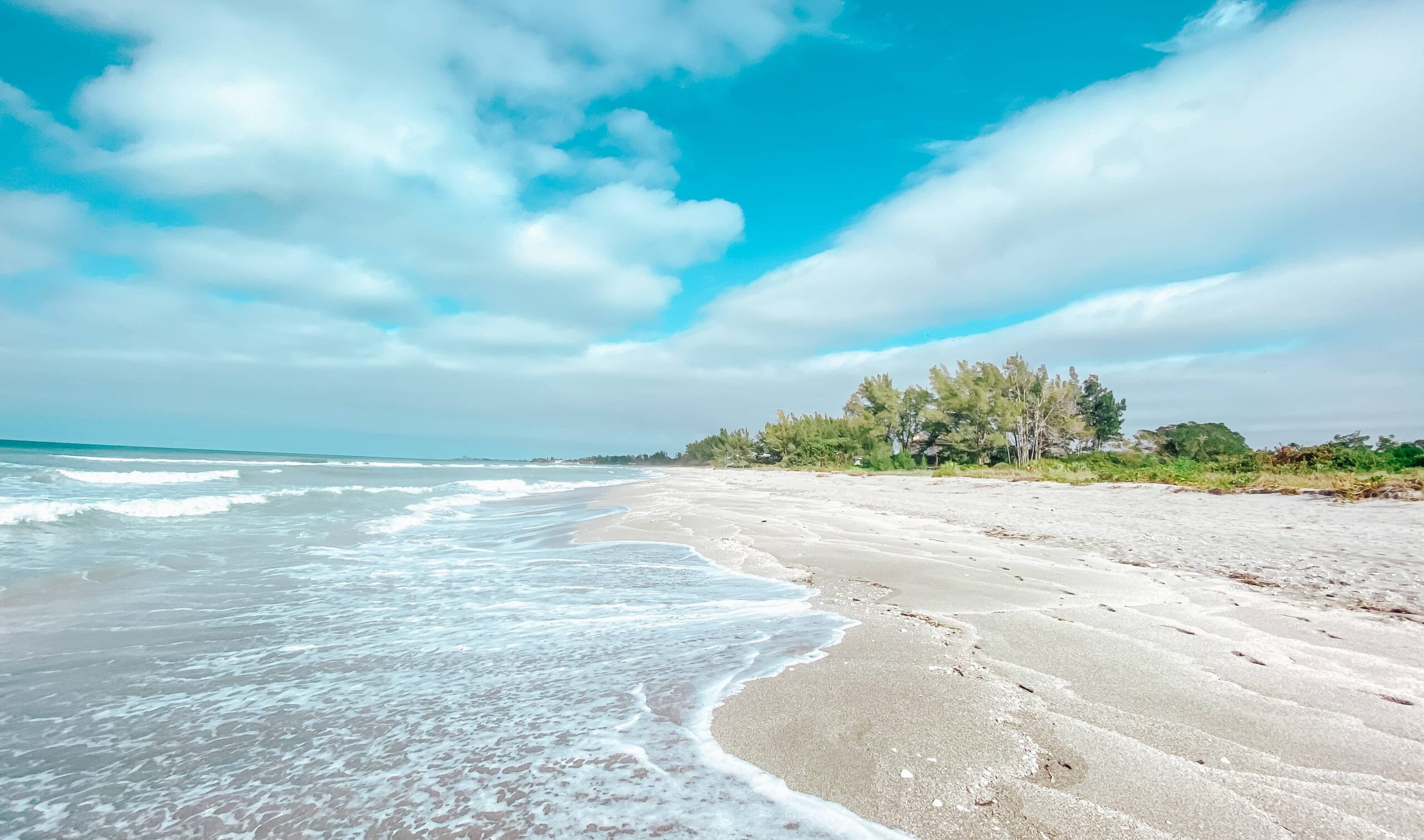 What to Love About Turtle Beach Near Siesta Key, Florida Suite Life