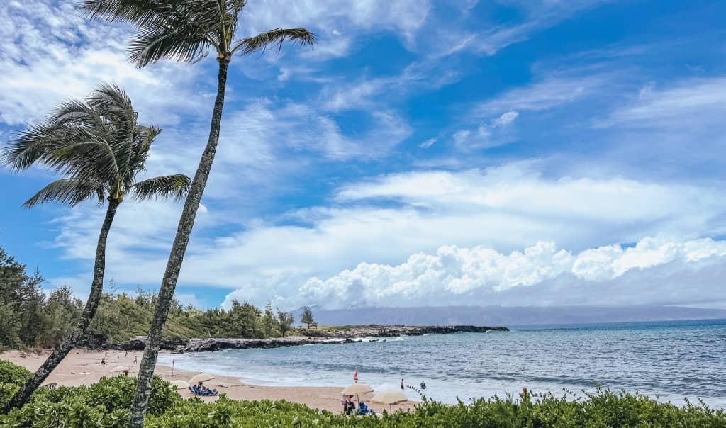 picture of the beach in maui