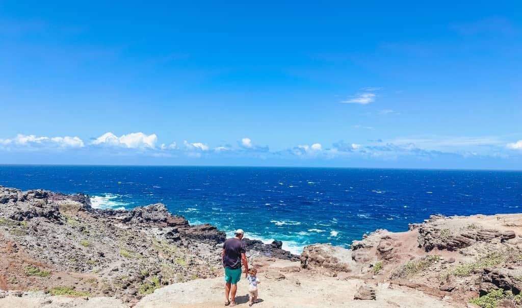 dad standing with his toddler son above the nakalele blowhole on the rugged edge of the maui coastline overlooking the ocean
