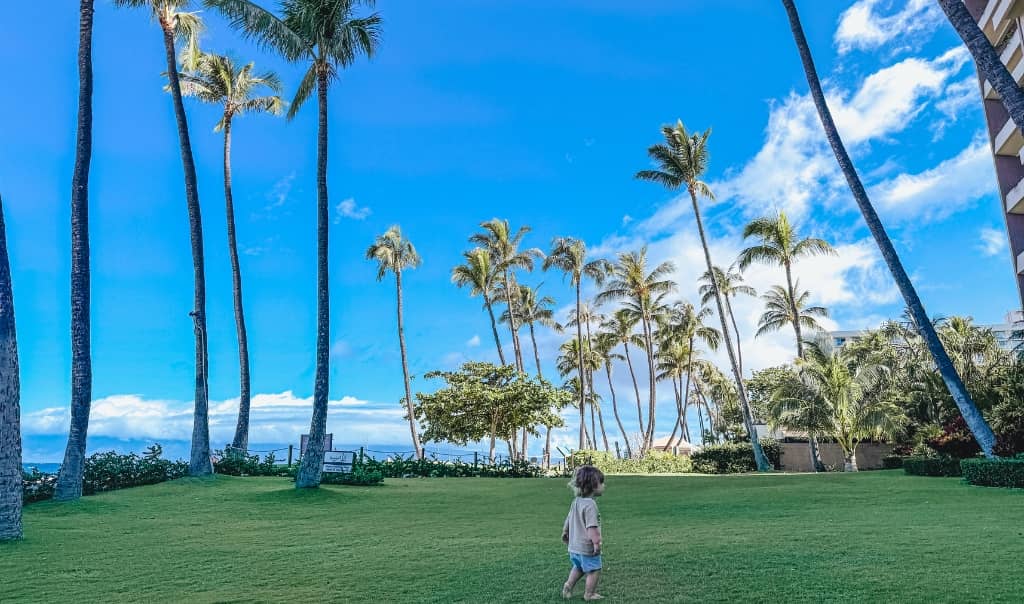 little boy enjoying an open lawn along the beach in kaanapali