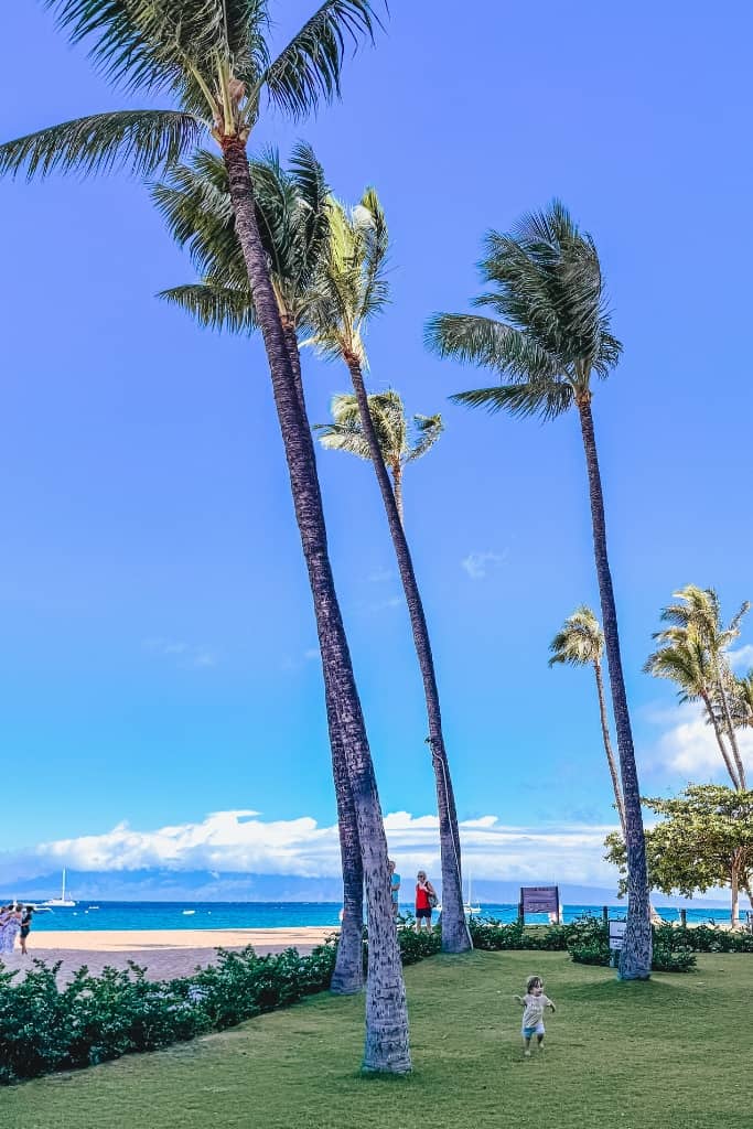 kaanapali beach
