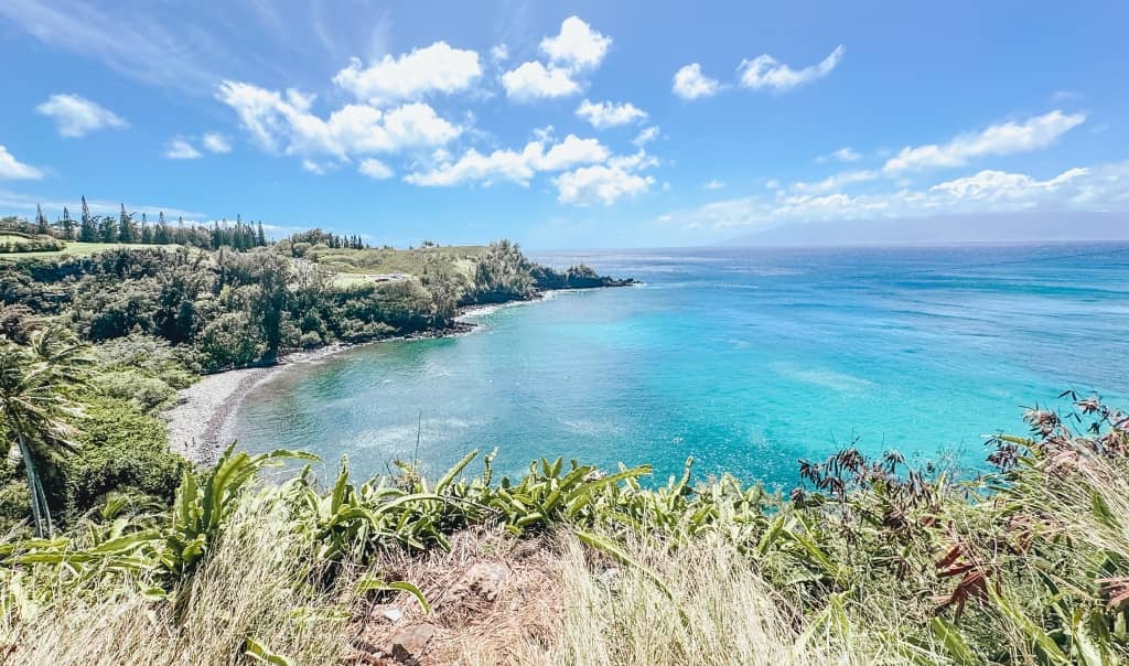 view of maui coastline taken from a cliff showing mauis rugged coastline meeting the ocean with multiple colors of blue