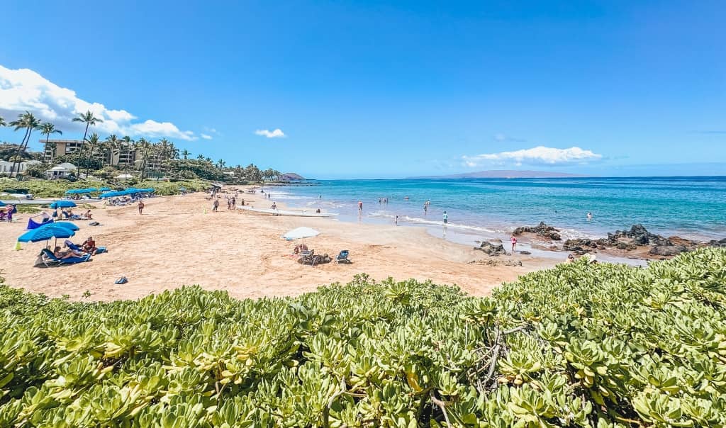 Ulua Beach in Maui Hawaii