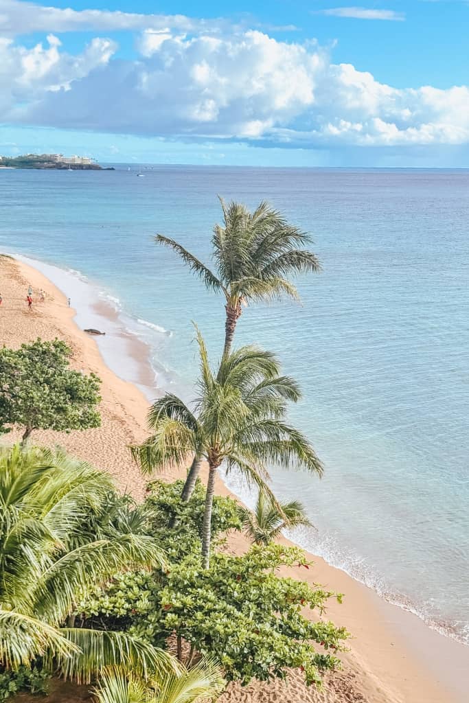 picture of the kaanapali beach