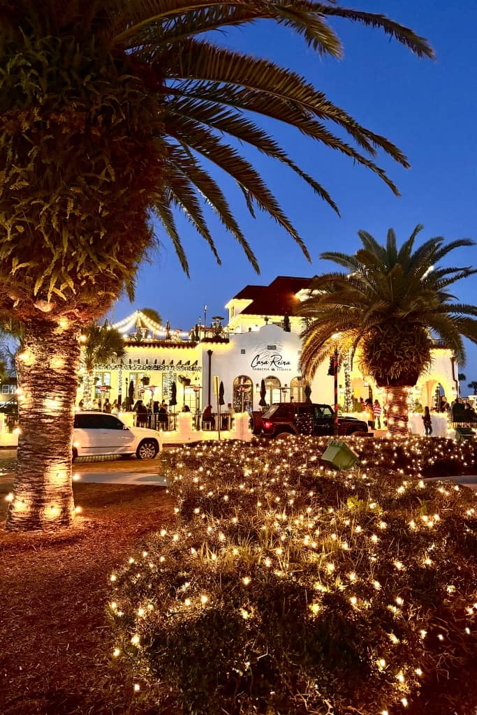 casa reina completely covered in christmas lights in the background. a bush and palm trees covered in christmas lights towards the front of the picture