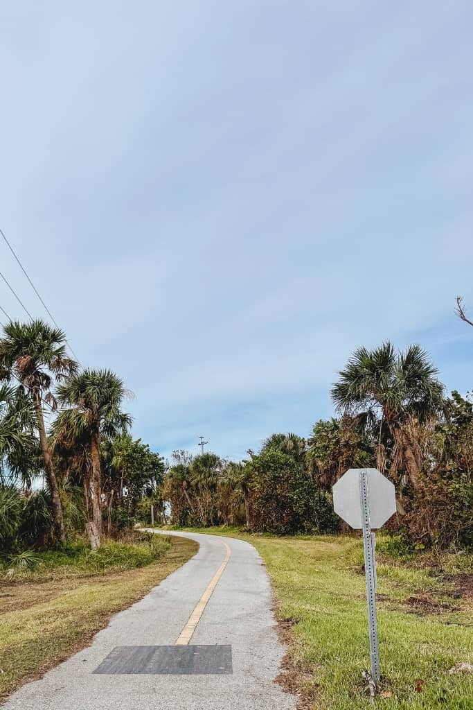 bike trail through green grass and lined with palm trees