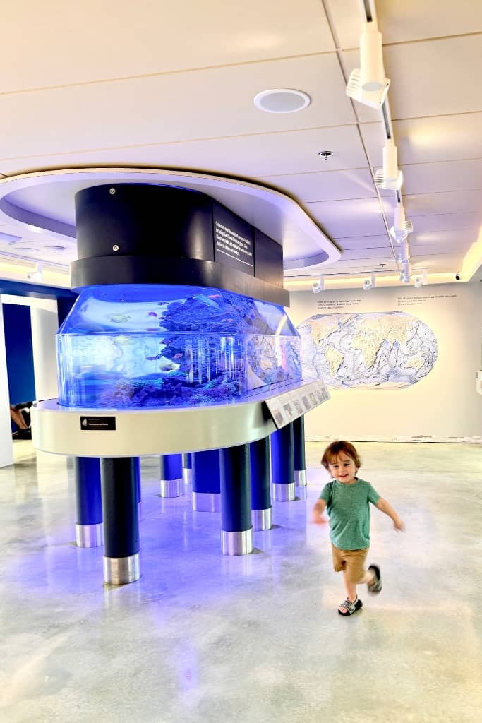 toddler at the aquarium at the shell museum in sanibel 