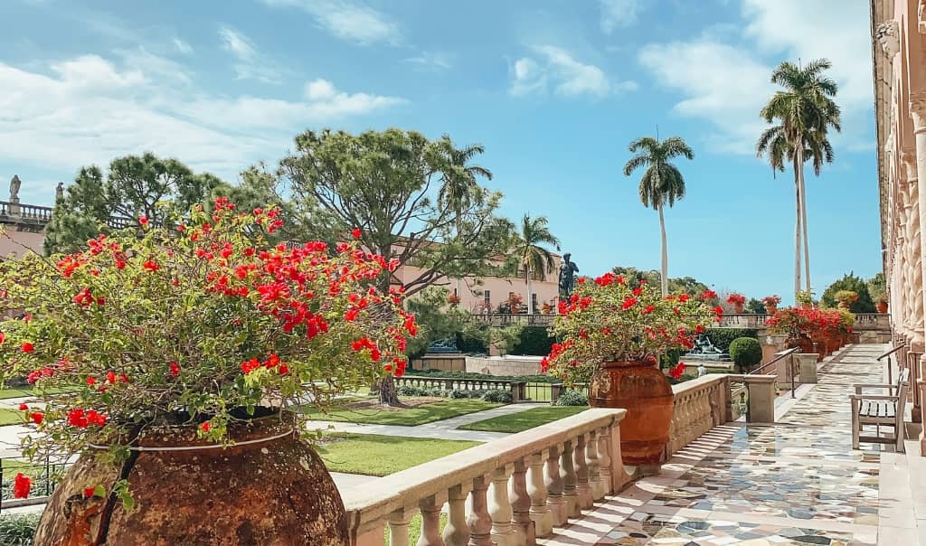 gardens with bright red flowers and palm trees at the ringling museum