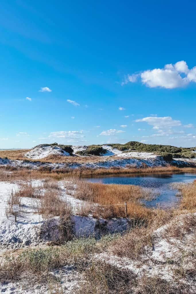sand dunes and a lake at topsail hill preserve state park